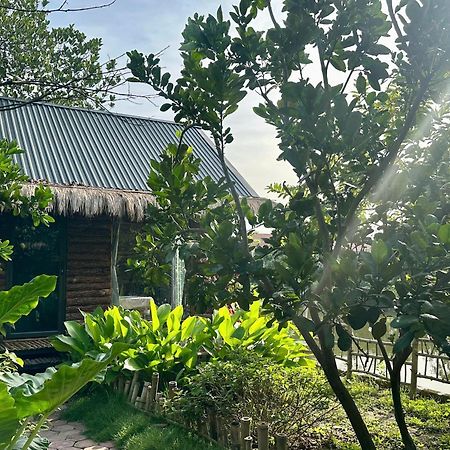 Peaceful Refuge Homestay Ninh Binh Exteriér fotografie