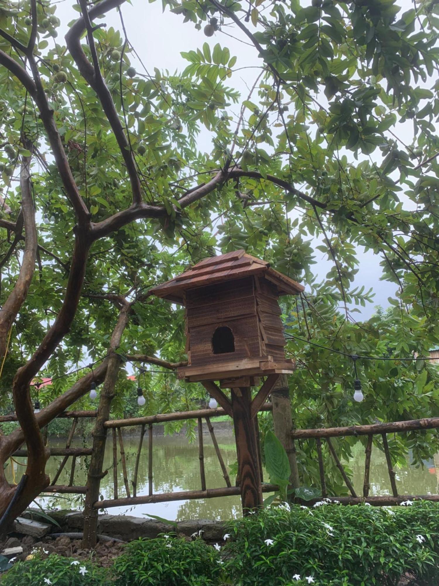 Peaceful Refuge Homestay Ninh Binh Exteriér fotografie