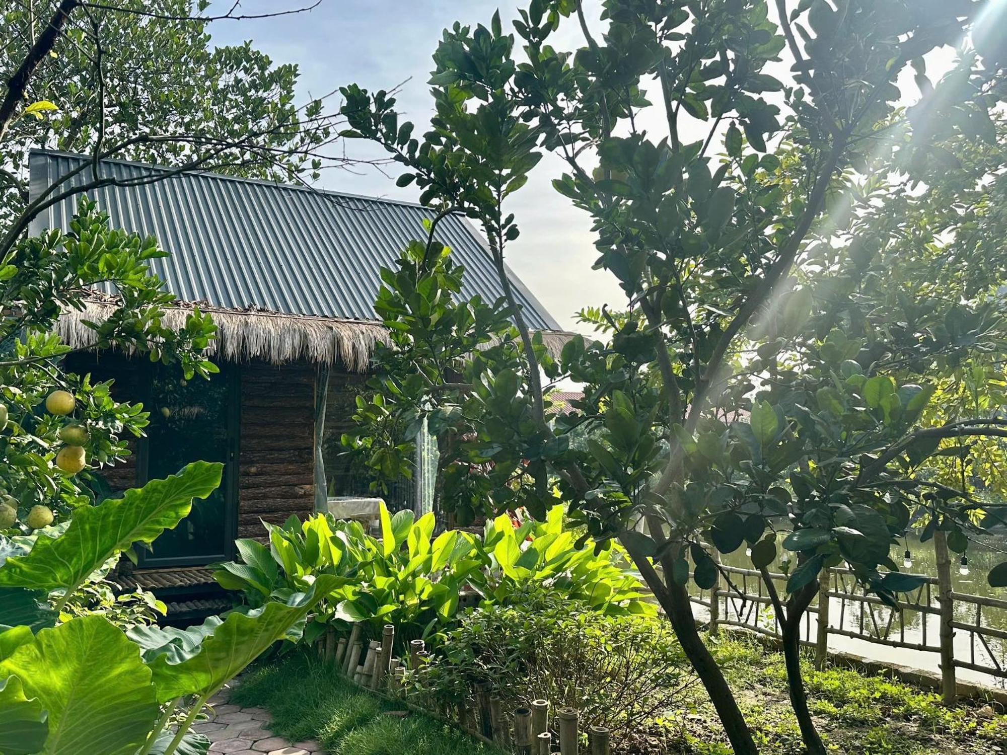 Peaceful Refuge Homestay Ninh Binh Exteriér fotografie